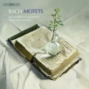 Motets by Johann Sebastian Bach / Bach Collegium Japan / Masaaki Suzuki album cover