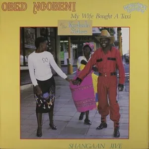 My Wife Bought a Taxi