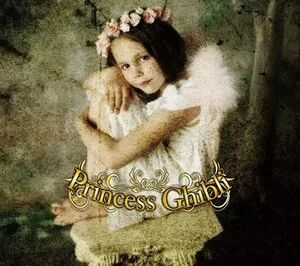 Princess Ghibli by Imaginary Flying Machines album cover