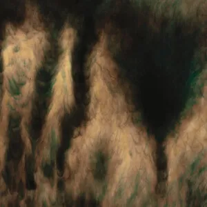 Lamentations by William Basinski album cover