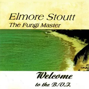 Welcome to the B.V.I.