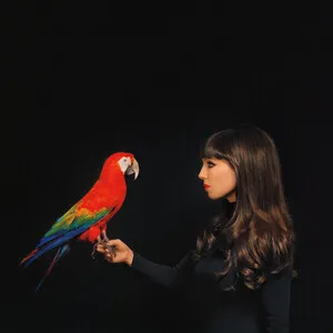 Claude Fontaine by Claude Fontaine album cover