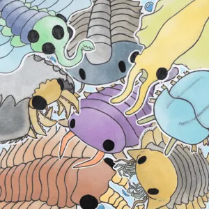 Cambrian Animals !! by camiidae album cover