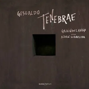 Tenebrae by Carlo Gesualdo / Graindelavoix / Björn Schmelzer album cover