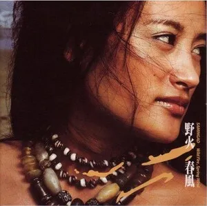 野火春風 Wild Fire, Spring Wind by Samingad album cover