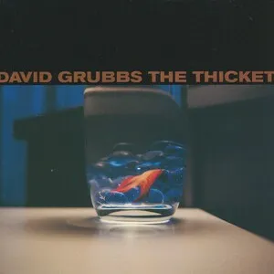 The Thicket by David Grubbs album cover