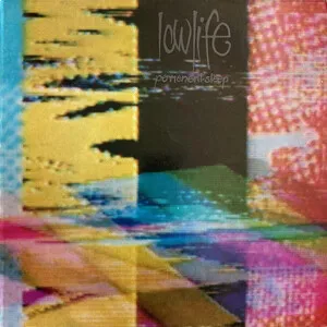 Permanent Sleep by Lowlife album cover