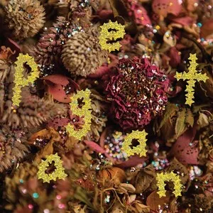 Pageant by PWR BTTM album cover