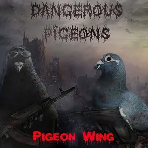 Dangerous Pigeons