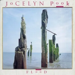 Flood by Jocelyn Pook album cover