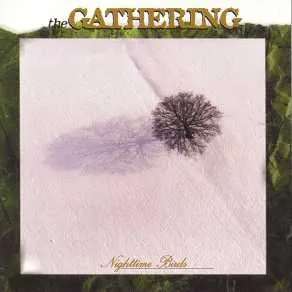 Nighttime Birds by The Gathering album cover