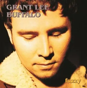 Fuzzy by Grant Lee Buffalo album cover