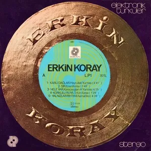 Elektronik Türküler