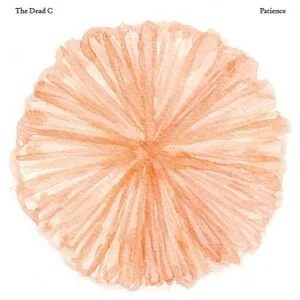 Patience by The Dead C album cover