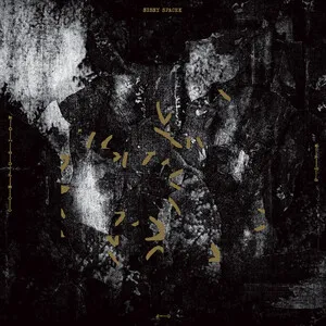 Ways of Confusion by Sissy Spacek album cover