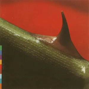 Night Song by Nusrat Fateh Ali Khan & Michael Brook album cover