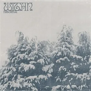 Hibernal by Witan album cover