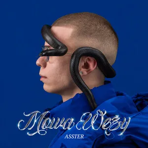 Mowa węży by Asster album cover