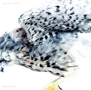 Animal Body 動物の身体 by Haisuinonasa ハイスイノナサ album cover