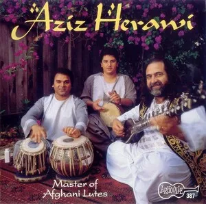 Master of Afghani Lutes