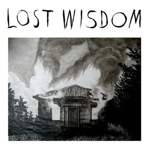 Lost Wisdom by Mount Eerie, Julie Doiron & Fred Squire album cover