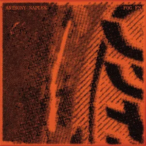 Fog FM by Anthony Naples album cover