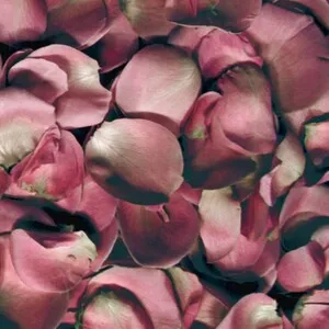 Différance 차연 by Jambinai 잠비나이 album cover