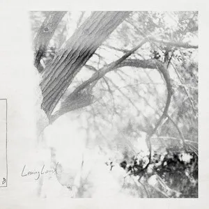 Leaving Laurel by Leaving Laurel album cover