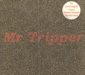 Persian Rugs - Mr Tripper