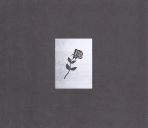 Dark Red by Shlohmo album cover