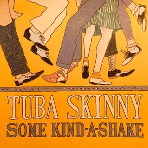 Some Kind-a-Shake by Tuba Skinny album cover