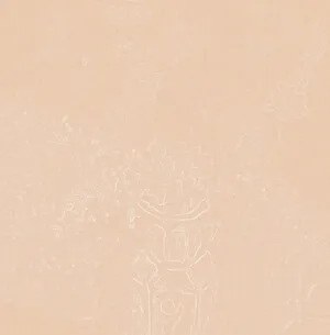 Still Life II by Haruka Nakamura album cover