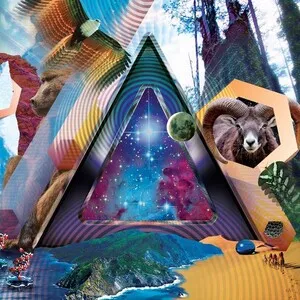 Universal Pulse by 311 album cover