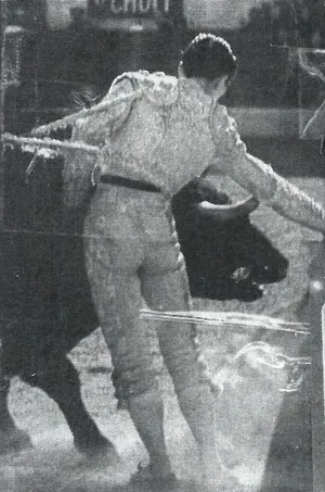 The Bullfighters of Rhonda by LR album cover