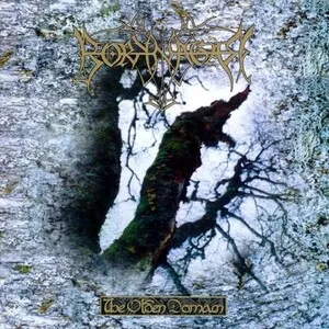 The Olden Domain by Borknagar album cover