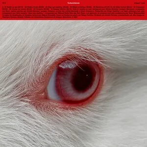 Turboviolencia by VVV album cover