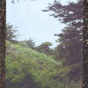 Life by jinsang album cover