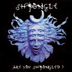 Are You Shpongled? by Shpongle album cover