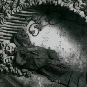 ...Ich töte mich jedesmal aufs Neue, doch ich bin unsterblich, und ich erstehe wieder auf; in einer Vision des Untergan… by Sopor Aeternus & The Ensemble of Shadows album cover