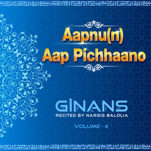 Aapnu(n) Aap Pichhaano - Volume 4 by Nargis Balolia album cover