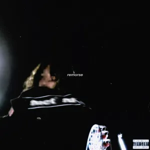 Remorse by funeral album cover