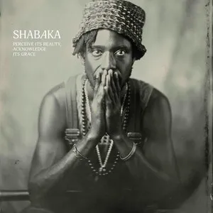 Perceive Its Beauty, Acknowledge Its Grace by Shabaka album cover