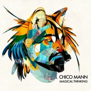 Magical Thinking by Chico Mann album cover
