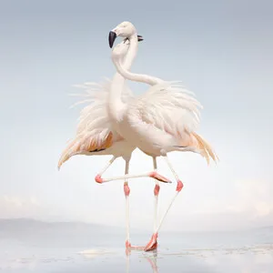 Green Language by Rustie album cover