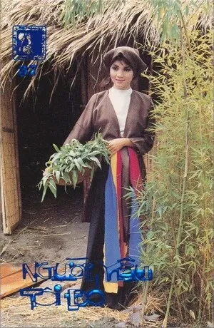 Người yêu tôi đó by Nguyệt Ánh & Việt Dzũng album cover