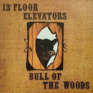 Bull of the Woods by The 13th Floor Elevators album cover