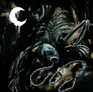 A Silhouette in Splinters by Leviathan album cover
