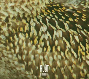 Kiriküüt by Rüüt album cover