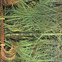 The Roaring Mechanism by P.E.E. album cover