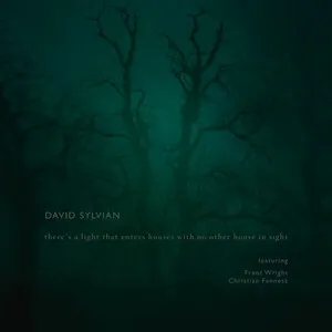There's a Light That Enters Houses With No Other House in Sight by David Sylvian album cover